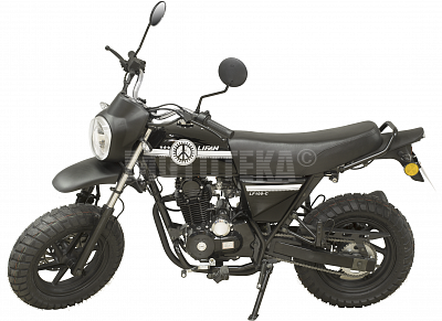 Мотоцикл Lifan (Лифан) LF100 - C (2019)